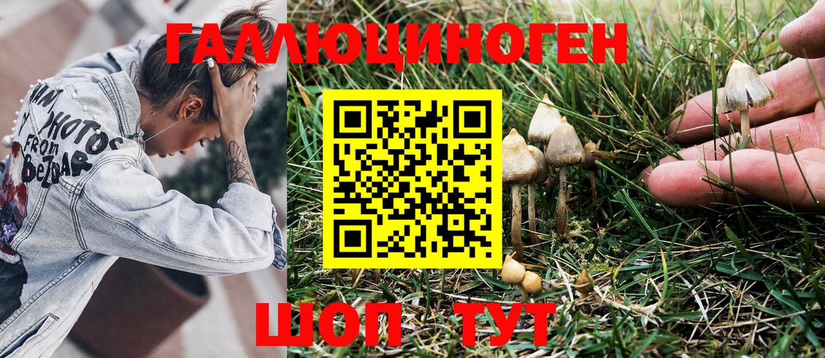 Псилоцибиновые грибы GOLDEN TEACHER  Псилоцибиновые грибы прущие грибы  Тула  Вход с VPN 